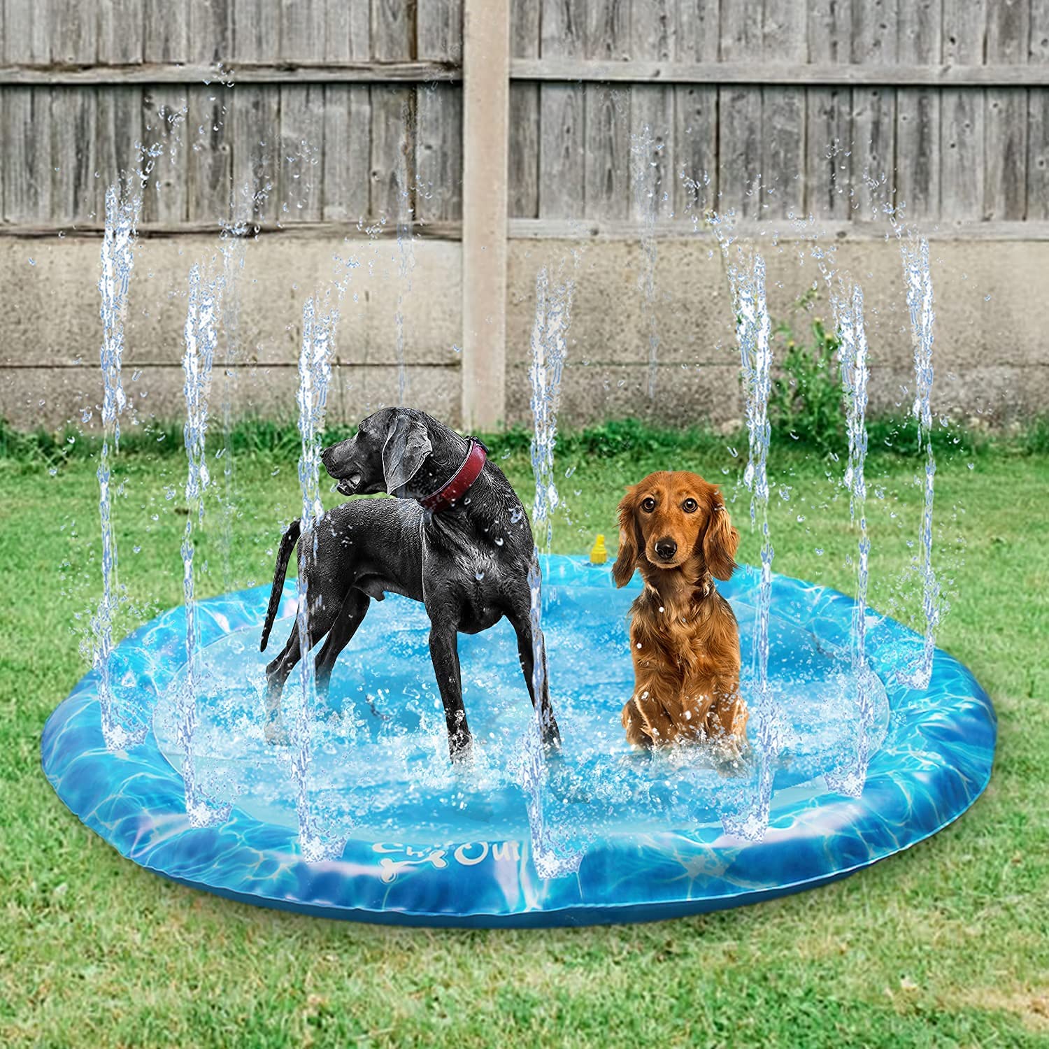 The 5 Best Dog Splash Pads What You Need to Know Dog Knowledge Hub